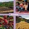Filterkaffee „Ruanda Kilimbi